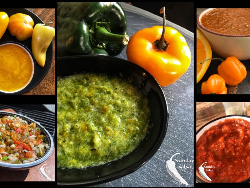 Top Salsas of 2024